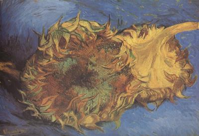 Two Cut Sunflowers (nn04), Vincent Van Gogh